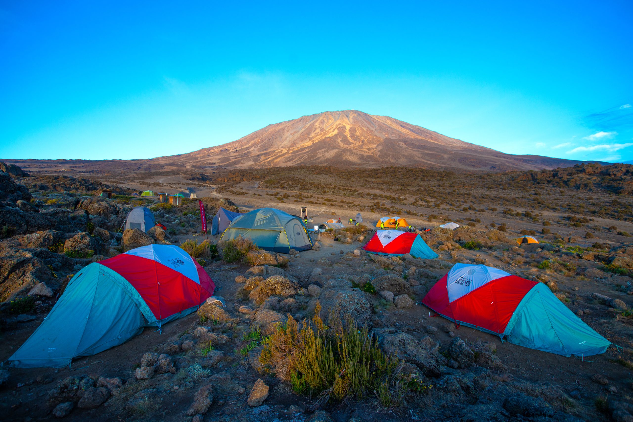 Donnetta Moss & Friends in Kilimanjaro!